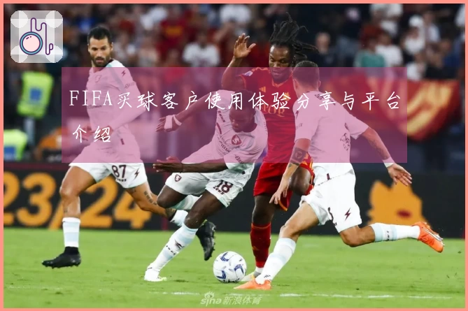 FIFA买球客户使用体验分享与平台介绍