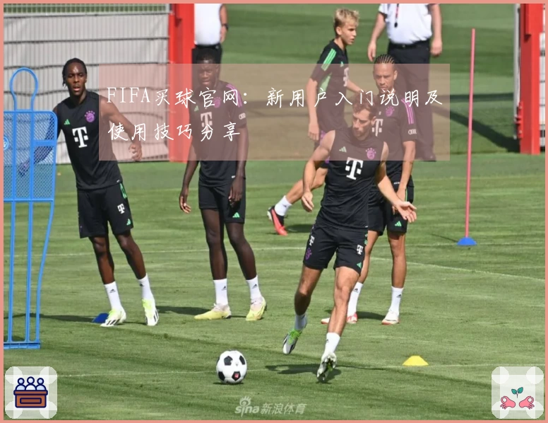 FIFA买球官网：新用户入门说明及使用技巧分享