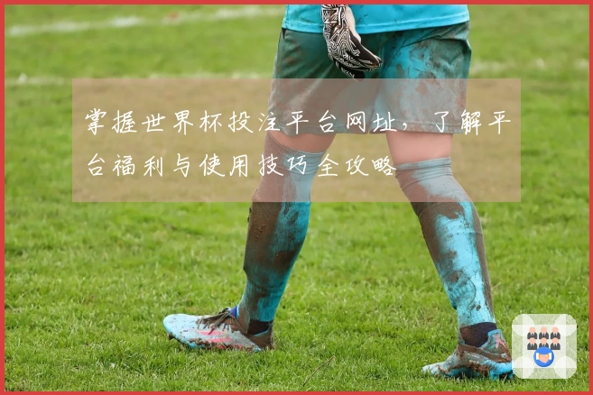 掌握世界杯投注平台网址，了解平台福利与使用技巧全攻略