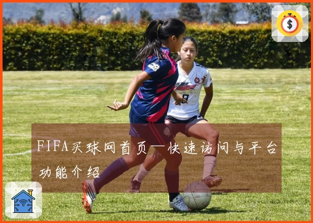 FIFA买球网首页—快速访问与平台功能介绍