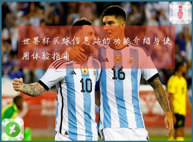 世界杯买球信息站的功能介绍与使用体验指南
